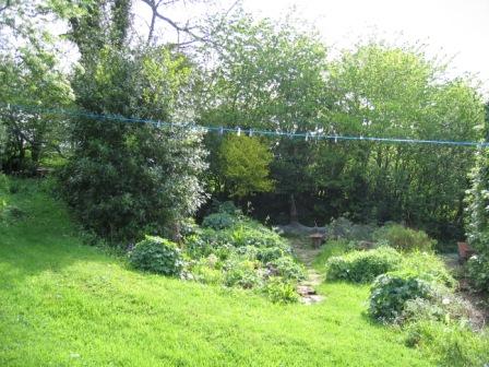 Copyright image: Before the garden makeover.