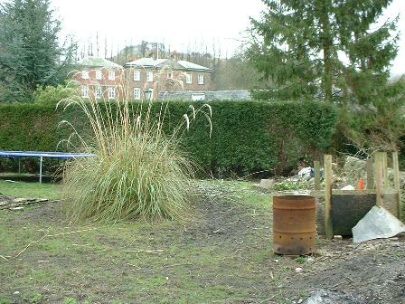 Copyright image: Before the garden makeover.