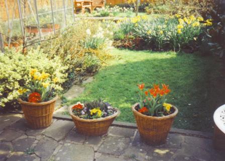Copyright image: Before the garden makeover.