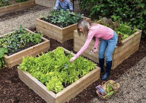 Wooden raised beds in different sizes and heights.