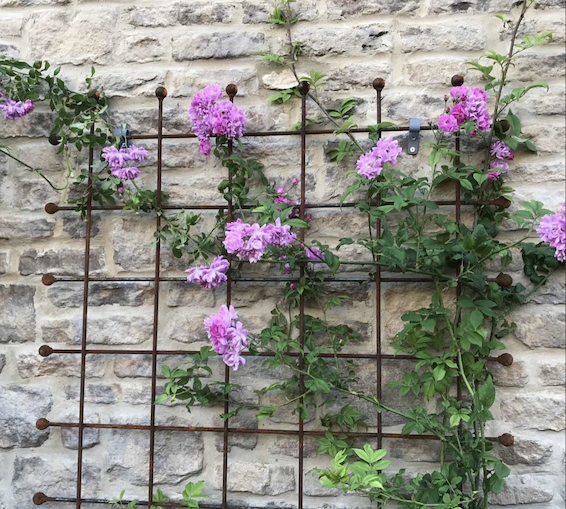 Beautiful metal trellis panels.