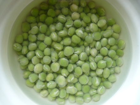 Copyright image: soaking dried peas ready to grow pea shoots.