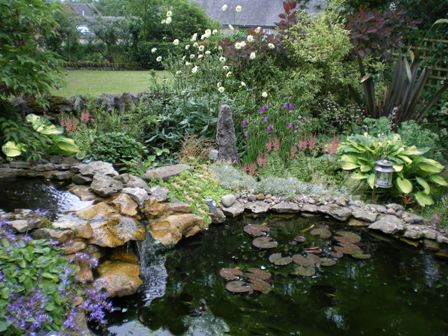 Copyright image: A spectacular garden pond with waterfall next to beautiful perennial plants and shrubs. 