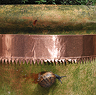 Copper tape used for slug damage.