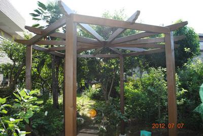 Hexagonal Pergola Built from the Plans