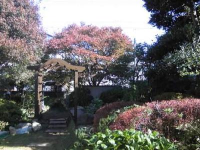 Curved Rafter Rose Arch 