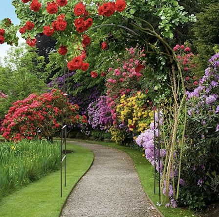 Metal rose arch