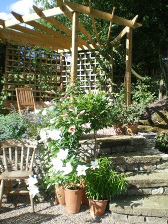 Copyright image: A wonderful corner pergola design with steps.