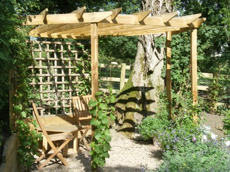 Copyright image: A wonderful corner pergola design with climbing plants.