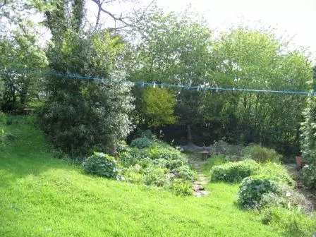 Copyright image: Before the garden makeover.