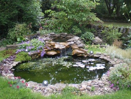 Copyright image: Beautiful garden pond and waterfall.