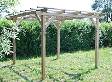 Traditional pergola with purlins.