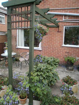 Copyright image: Pergola acting as a climbing rose support .