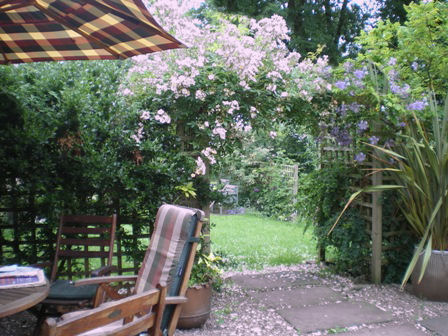 Copyright image: Pergola climbing plants: a vigorous pale pink rambler rose and a heavenly purple clematis growing over a pergola.