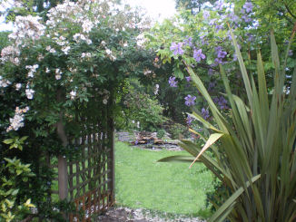 Copyright image: Climbing plants trailing over a pergola made from the free pergola plans.