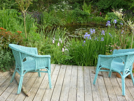 Copyright image: Natural pond with decking, blue iris and candelabra primulas.