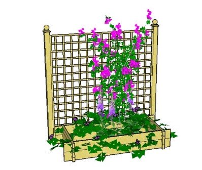 Copyright image: A raised bed planter with trellis:  A simple way to create an attractive patio area.