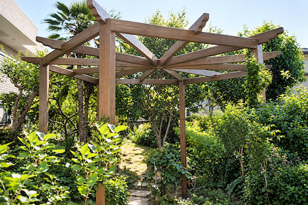 Copyright image: Rob's beautiful hexagonal pergola built in his Japanese garden, with curved rafter tails and surrounded by lush planting. Copyright image: Rob's beautiful hexagonal pergola built in his Japanese garden, with curved rafter tails and surrounded by lush planting.