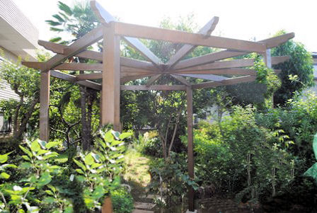Copyright image: Rob's wonderful hexagonal pergola, with curved rafter tail ends.