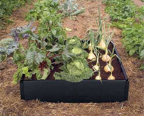 A contemporary, metal, black raised bed.